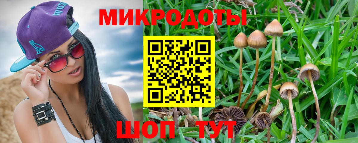 Галлюциногенные грибы Magic Shrooms Гулькевичи