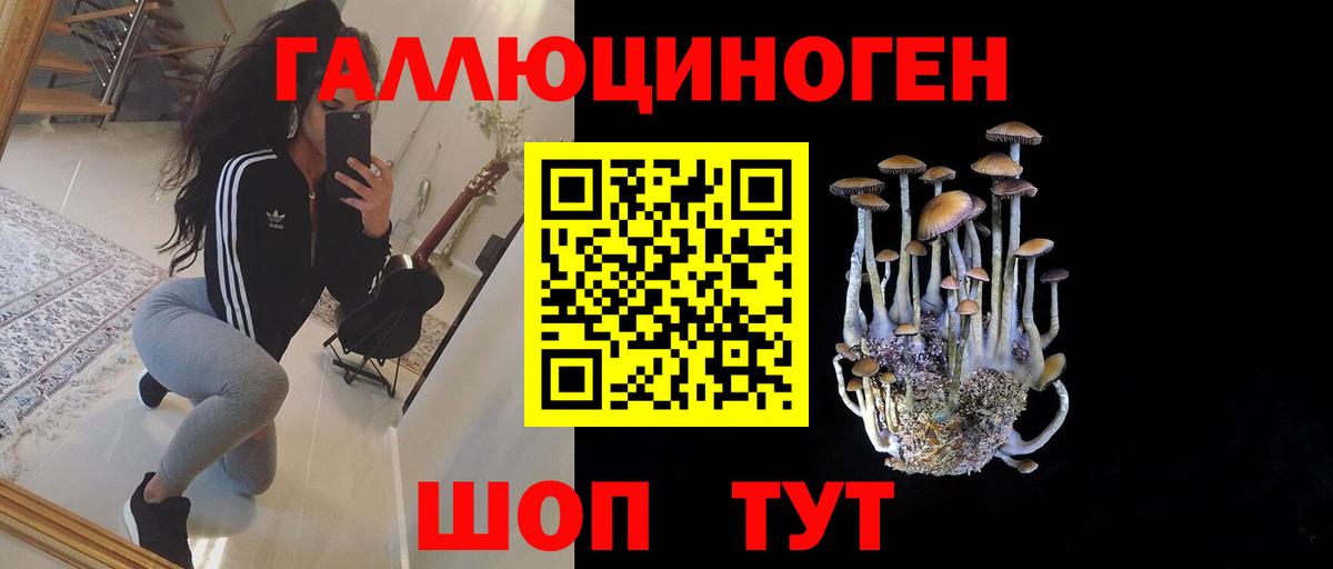 наркотики  Псилоцибиновые грибы мухоморы  Вход с VPN  Гулькевичи  Псилоцибиновые грибы MAGIC MUSHROOMS 